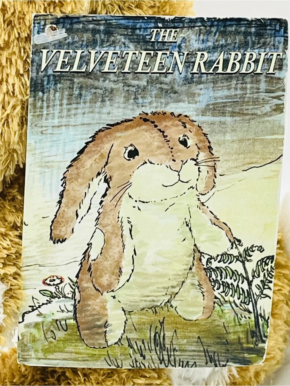 Margery Williams The Velveteen Rabbit Hardcover Book & Plush Bunny Rabbit Toy